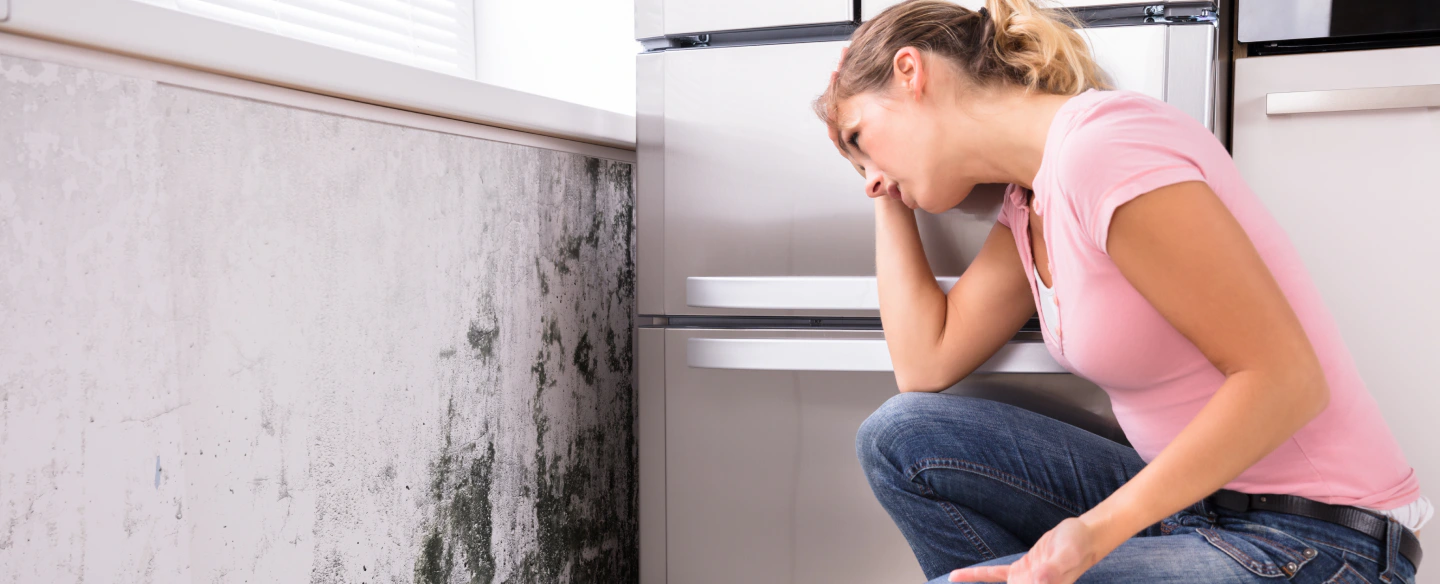 hero mold removal women looking at mold brigham city ut